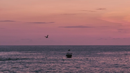 043-黄昏海鸥独飞10秒.jpg