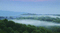002-夏季云雾飘过岭间树林13秒.gif